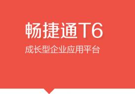 > 软件产品 > T6产品线